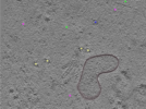 key visualization for TS_11_7