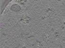 key visualization for TS_12_3