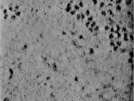 key visualization for TS_1_2