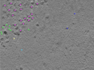 key visualization for TS_1_2