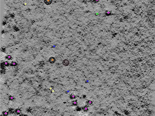 key visualization for TS_98_1