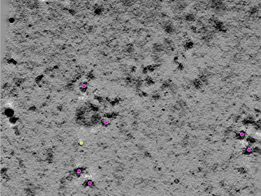 key visualization for TS_9_2