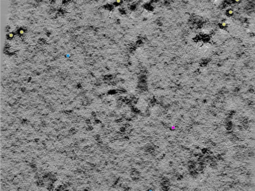 key visualization for TS_9_3