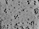 key visualization for TS_100_6