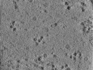 key visualization for TS_100_6
