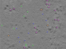 key visualization for TS_100_6