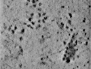 key visualization for TS_100_7