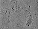 key visualization for TS_100_7