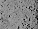 key visualization for TS_100_9