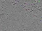 key visualization for TS_100_9