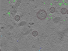 key visualization for TS_101_1