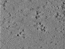 key visualization for TS_101_4
