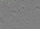 key visualization for TS_101_4