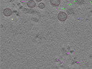 key visualization for TS_101_6