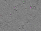 key visualization for TS_101_7