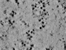 key visualization for TS_102_1
