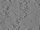 key visualization for TS_102_1