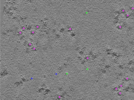 key visualization for TS_102_1