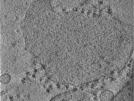 key visualization for TS_102_7