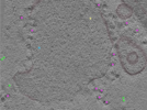 key visualization for TS_102_7