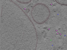 key visualization for TS_102_8
