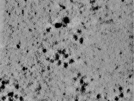 key visualization for TS_103_1