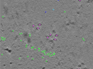 key visualization for TS_103_1