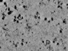 key visualization for TS_103_2
