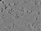 key visualization for TS_103_2