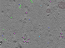 key visualization for TS_103_2
