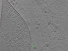key visualization for TS_103_3