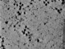 key visualization for TS_103_9