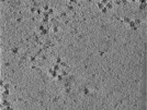 key visualization for TS_103_9