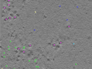 key visualization for TS_103_9