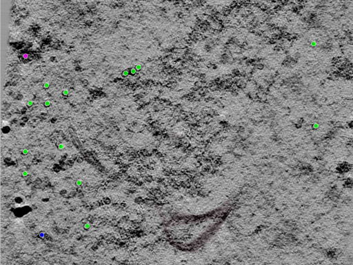 key visualization for TS_106_4