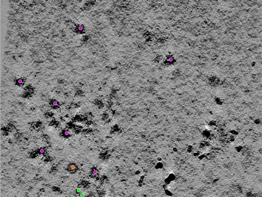 key visualization for TS_113_4