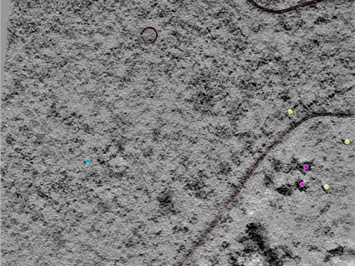 key visualization for TS_9_5