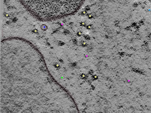key visualization for TS_9_8