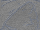 key visualization for 24sep26a_Position_11
