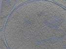 key visualization for 24sep26a_Position_11_2