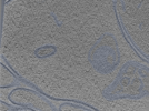 key visualization for 24sep26a_Position_12