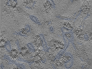 key visualization for 24sep26a_Position_20