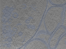 key visualization for 24oct15b_Position_10