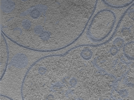 key visualization for 24oct15b_Position_13_3