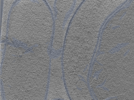 key visualization for 24oct15b_Position_1_2