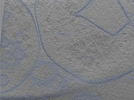 key visualization for 24oct15b_Position_21_2