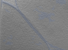 key visualization for 24oct15b_Position_27