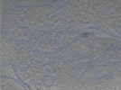 key visualization for 24oct15b_Position_30_2