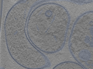 key visualization for 24oct15b_Position_35