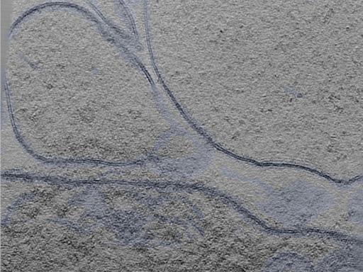 key visualization for 24oct15b_Position_6_2